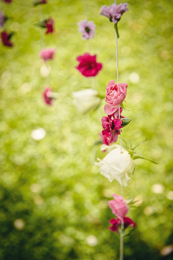 DIY-Windpsiel aus Sommerblüten