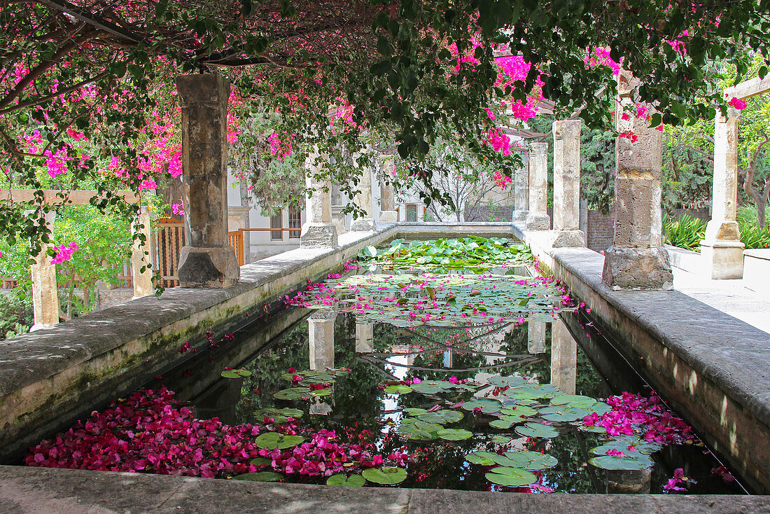 Mediterranean water basin with water lilies