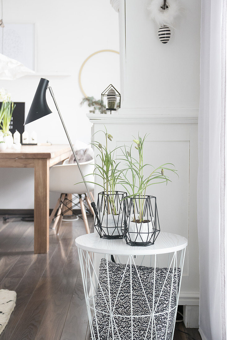 Delicate plants on stool