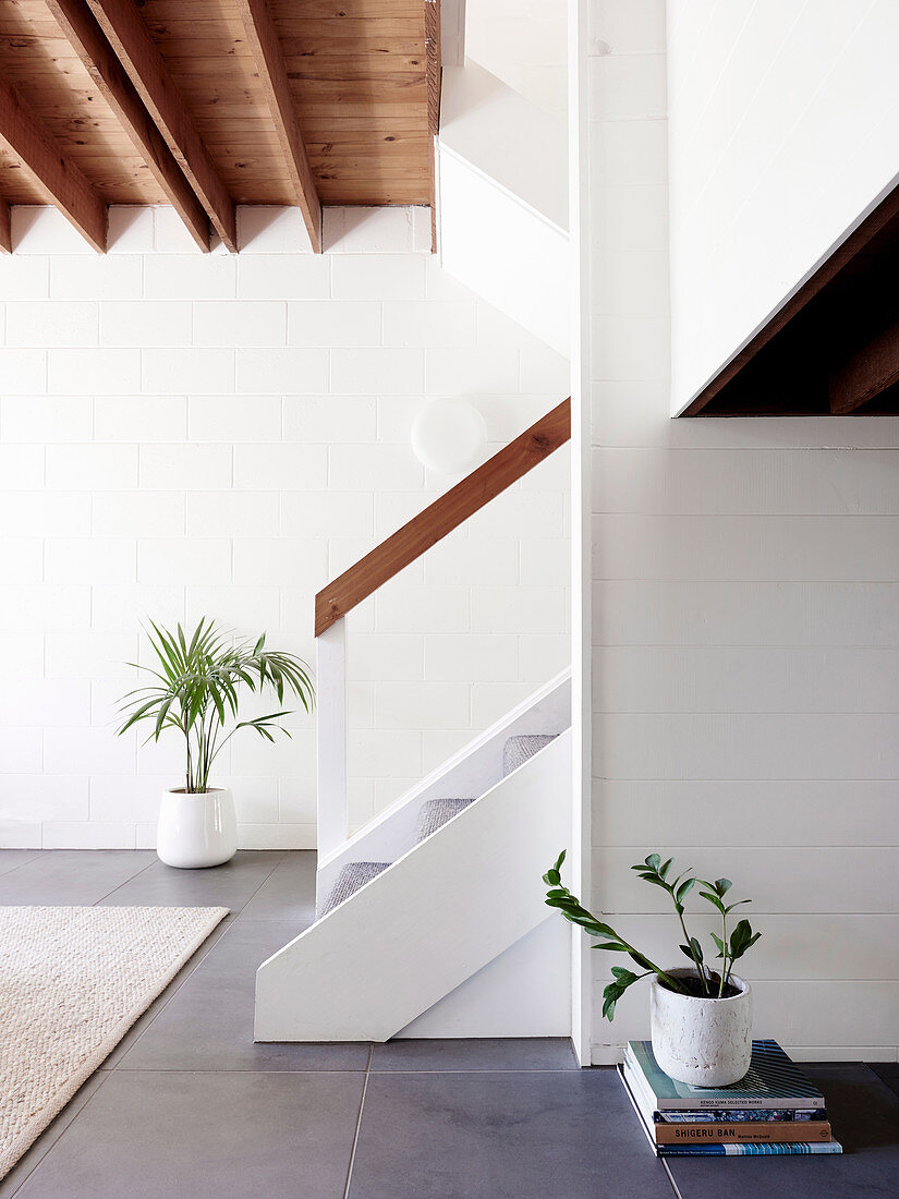 Houseplants in white living room with beamed ceiling