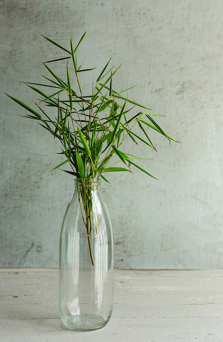Bamboo stems in glass bottle