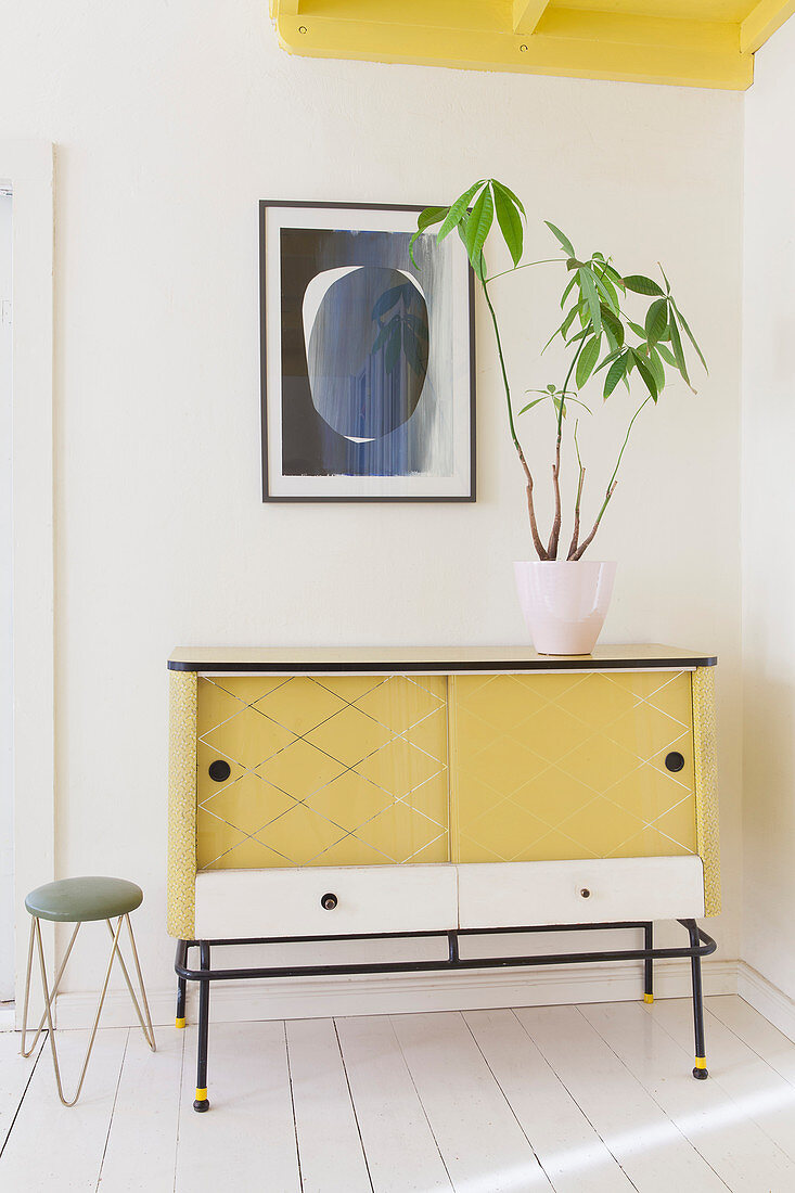Houseplant on retro sideboard in yellow, black and white