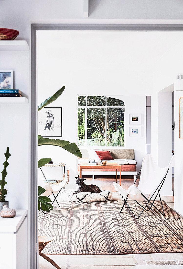 Blick ins Wohnzimmer mit Klassikerstuhl, couchtisch und Sofa, Hund auf Bodenkissen