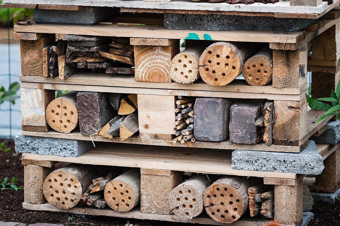 DIY insect hotel made from pallets