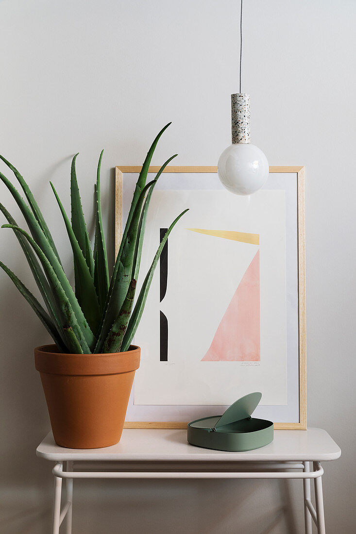 Aloe vera plant in terracotta pot and artwork below DIY pendant lamp