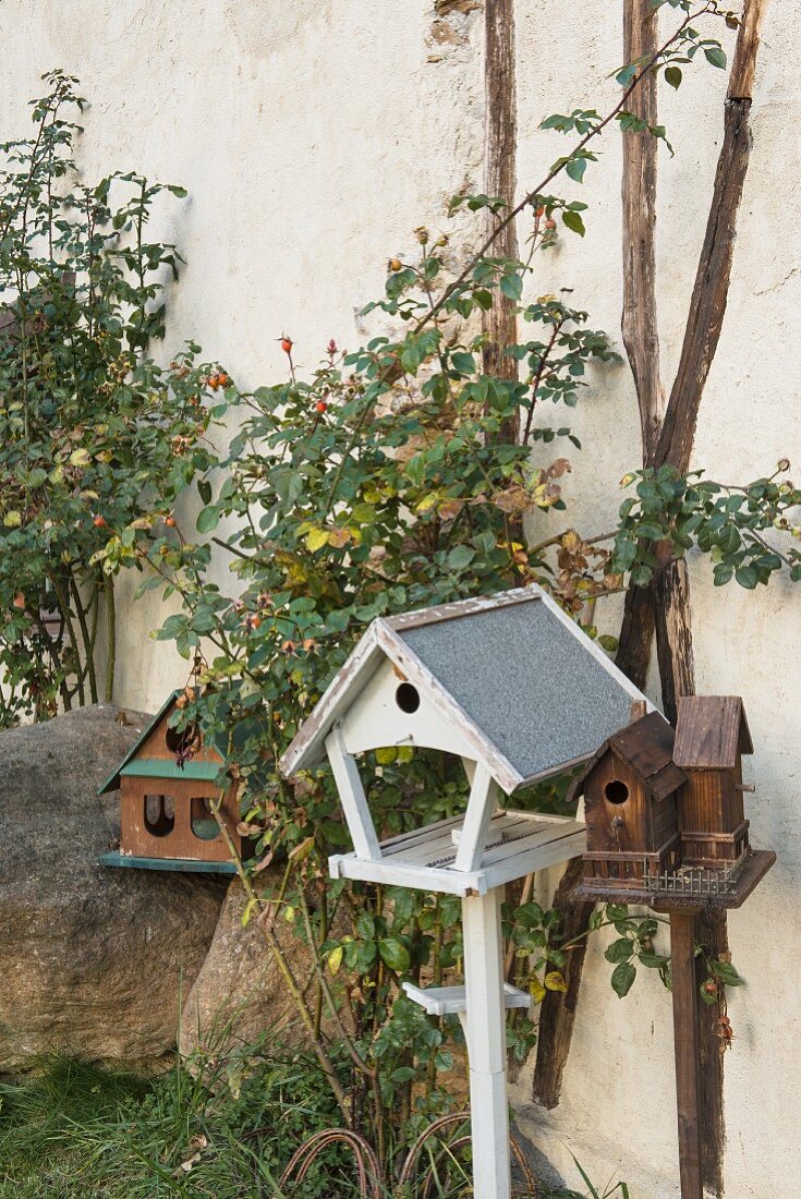 Verschiedene Vintage-Vogelhäuschen Hauswand mit Rosenstöcken und Hagebutten