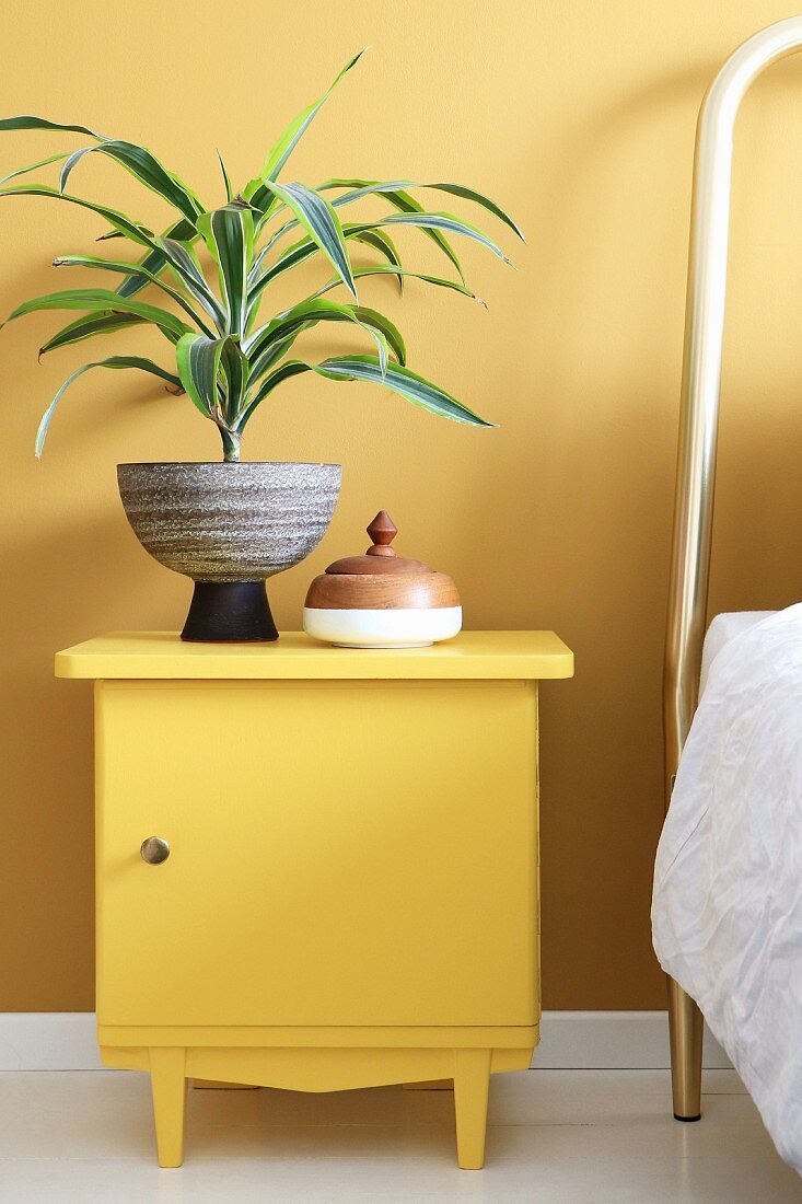 Yucca in retro pot on bedside cabinet painted yellow