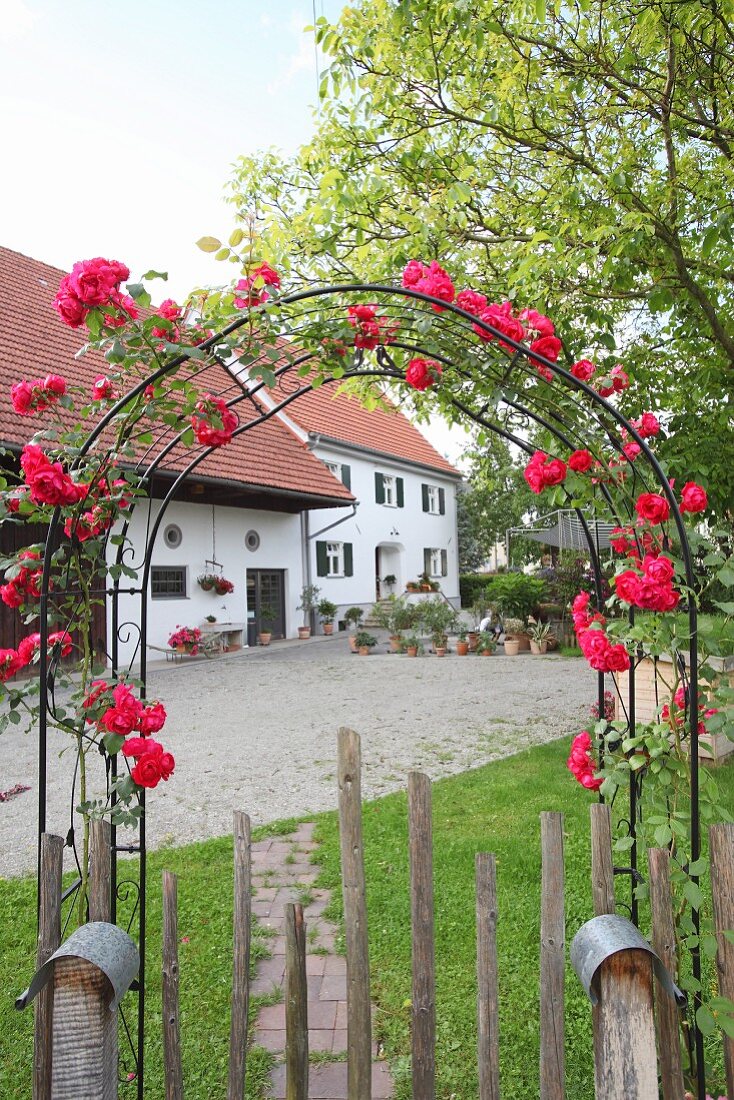 View through rose-covered arch across courtyard to farmhouse