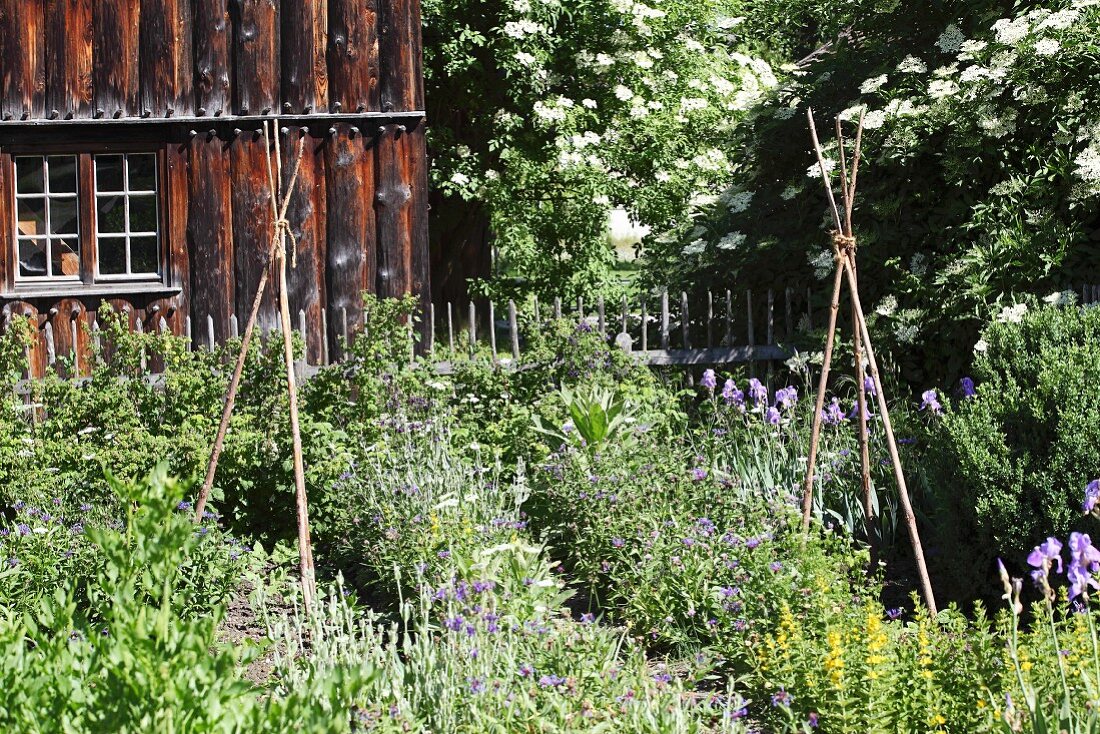 Kräutergarten vor Bauernhaus