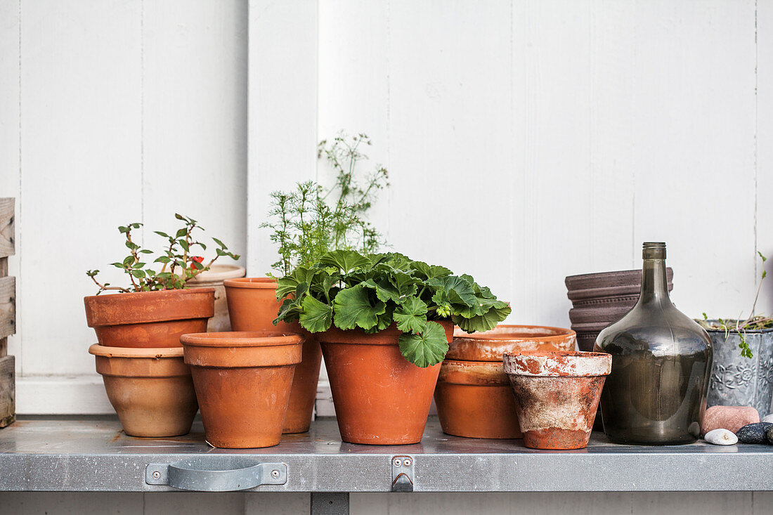 Terracotta pots and glass bottle on potting table