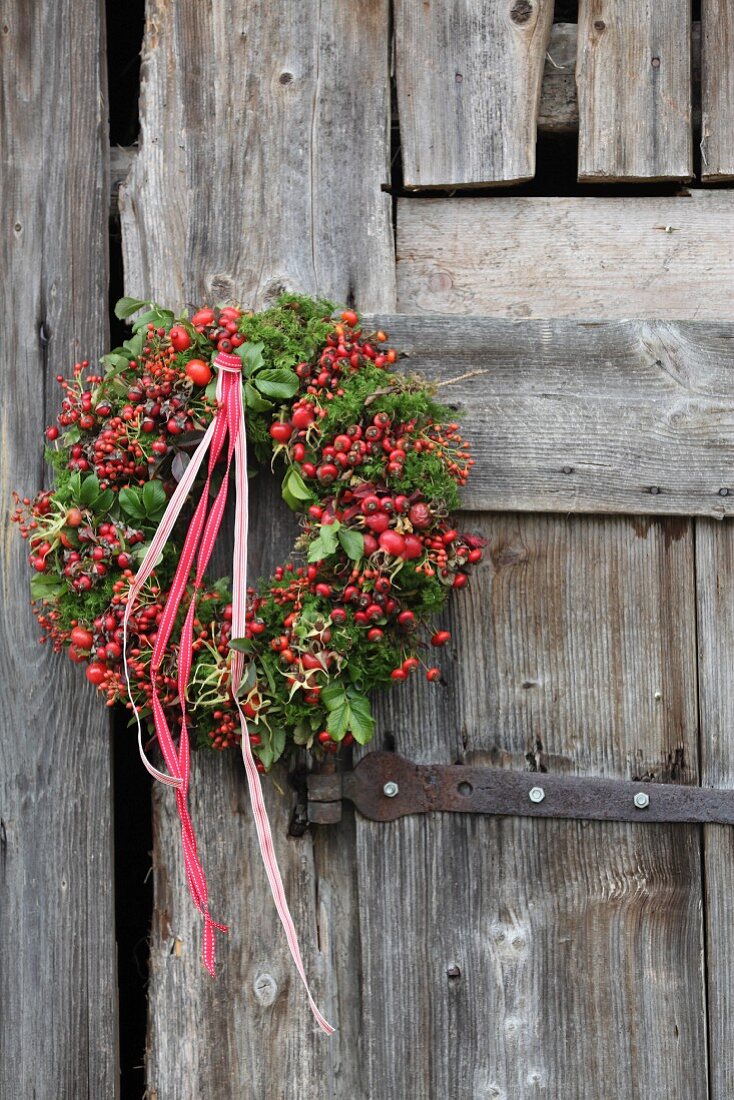 Autumn wreath of rose hips, moss and ribbons on rustic board door