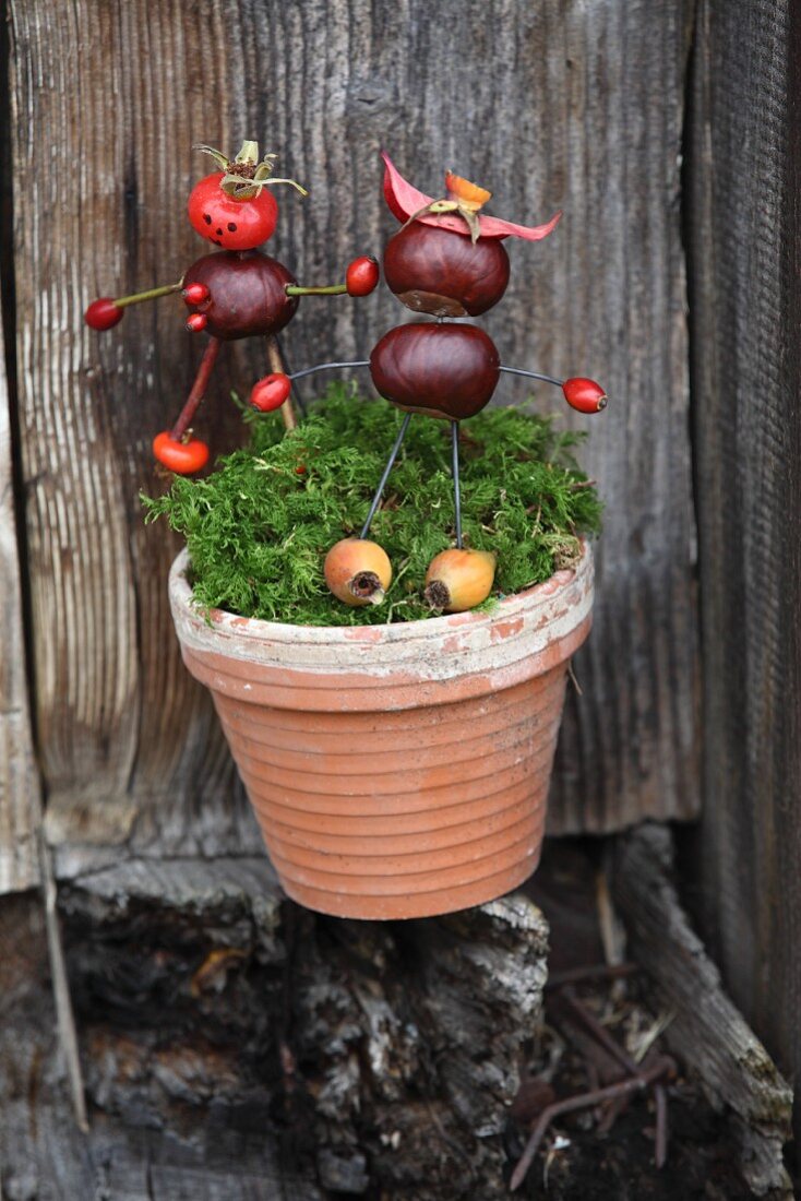 Two figurines made from conkers stuck in pot of moss against board wall