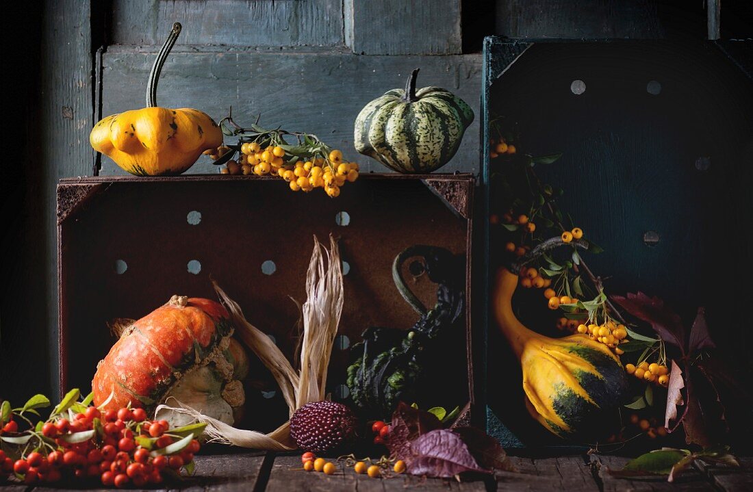 Assortment of different edible and decorative pumpkins and autumn berries in wooden box