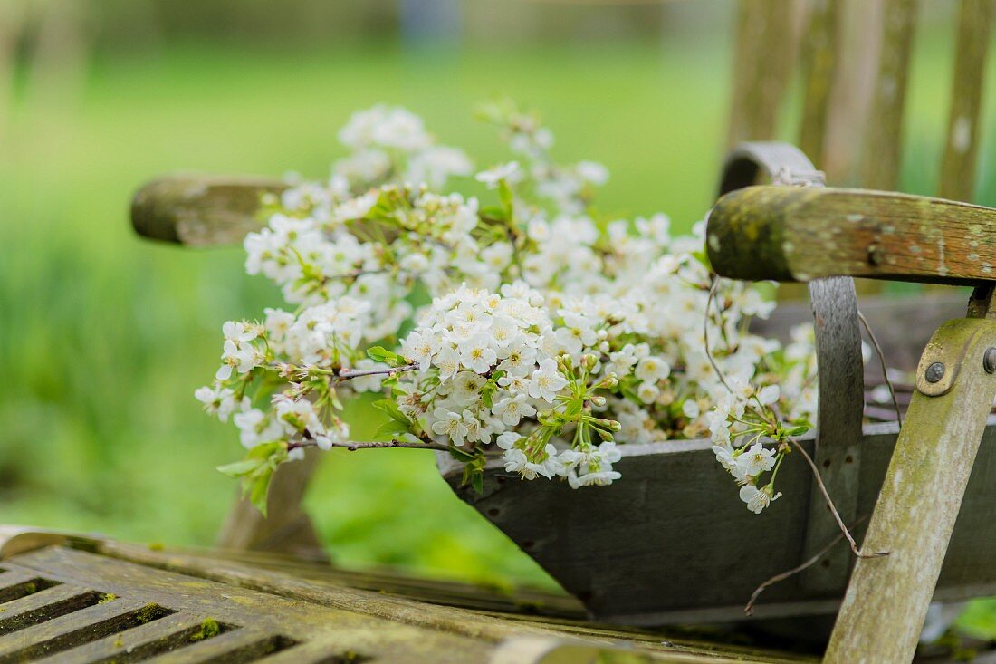Holzkorb mit Blütenzweigen auf einem verwitterten Gartenstuhl