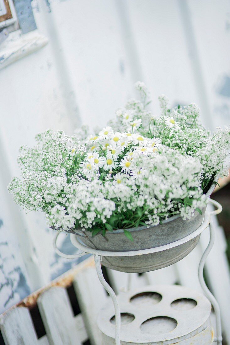 Alte Waschschale im Ständer mit weißen Blumen