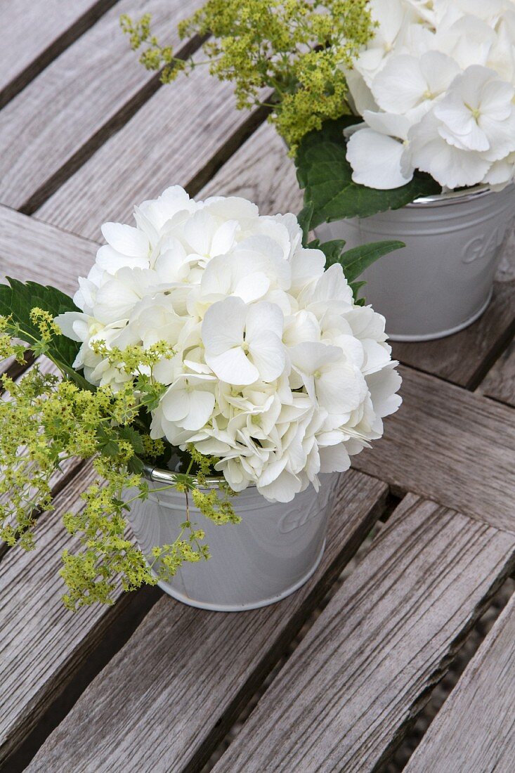 White hydrangeas and lady's mantle in buckets on wooden surface