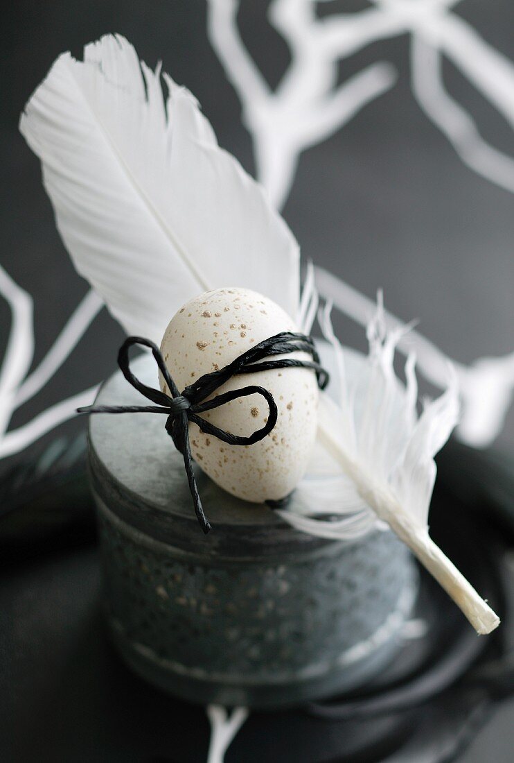 Speckled egg wrapped with black raffia on white feather
