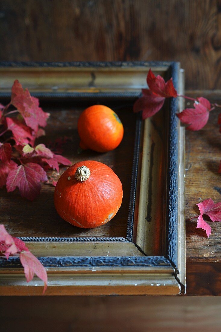 Small pumpkins in old picture frame