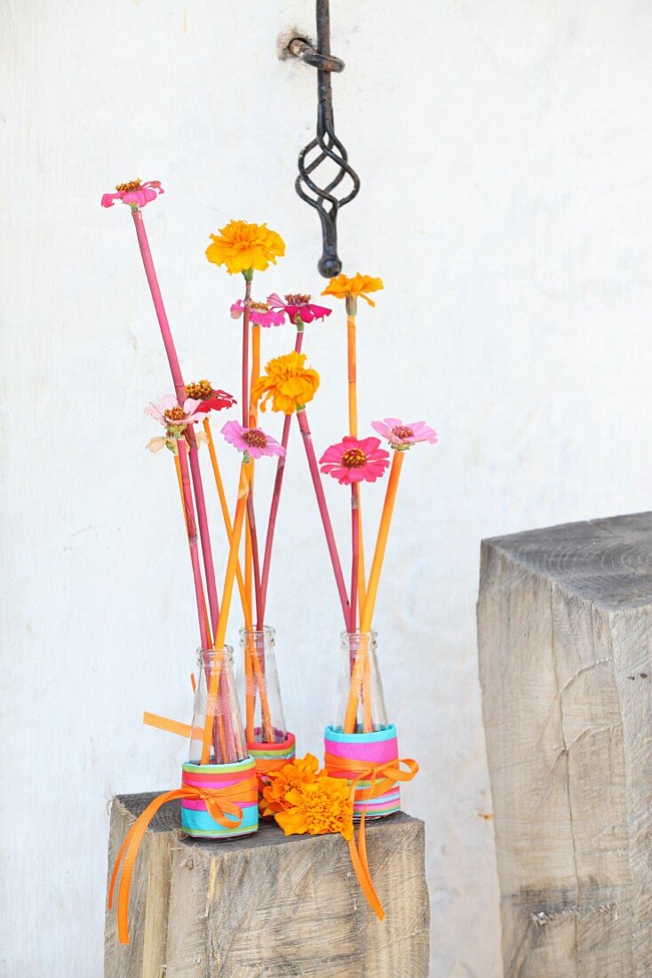 Blumen in Campari-Fläschchen auf Holzklotz