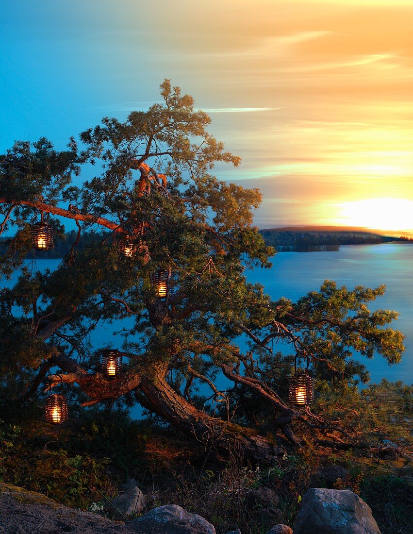 Stimmungsvoller Landschaftsblick bei Sonnenuntergang über See mit Windlichtern in Baum