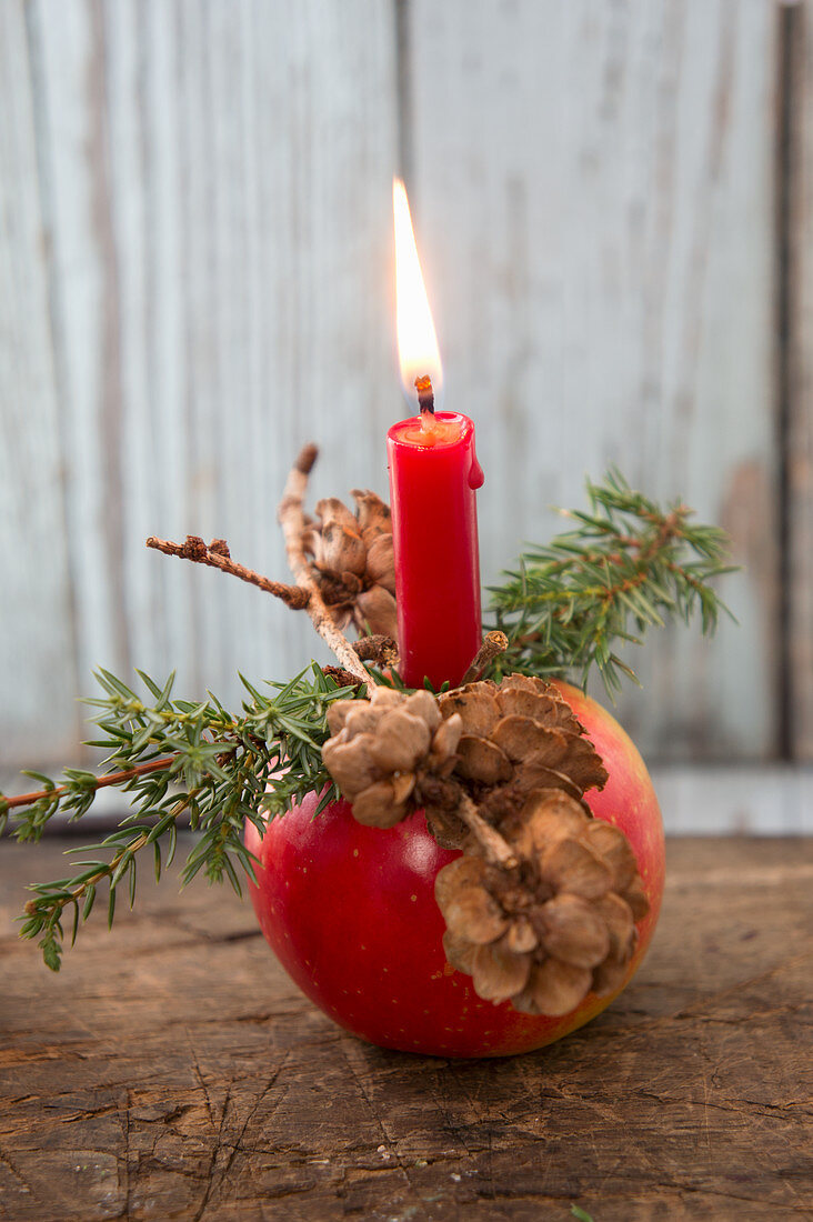 Weihnachtsapfel mit Kerze, Lärchenzapfenzweig und Wacholderzweig