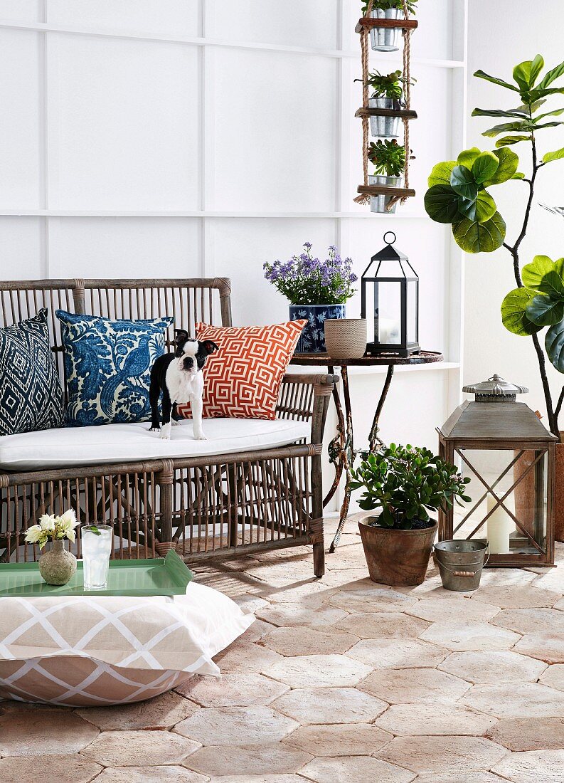 Cushions and dog on rattan bench, order table surrounded by plants and lanterns and floor cushions with tray on terrace