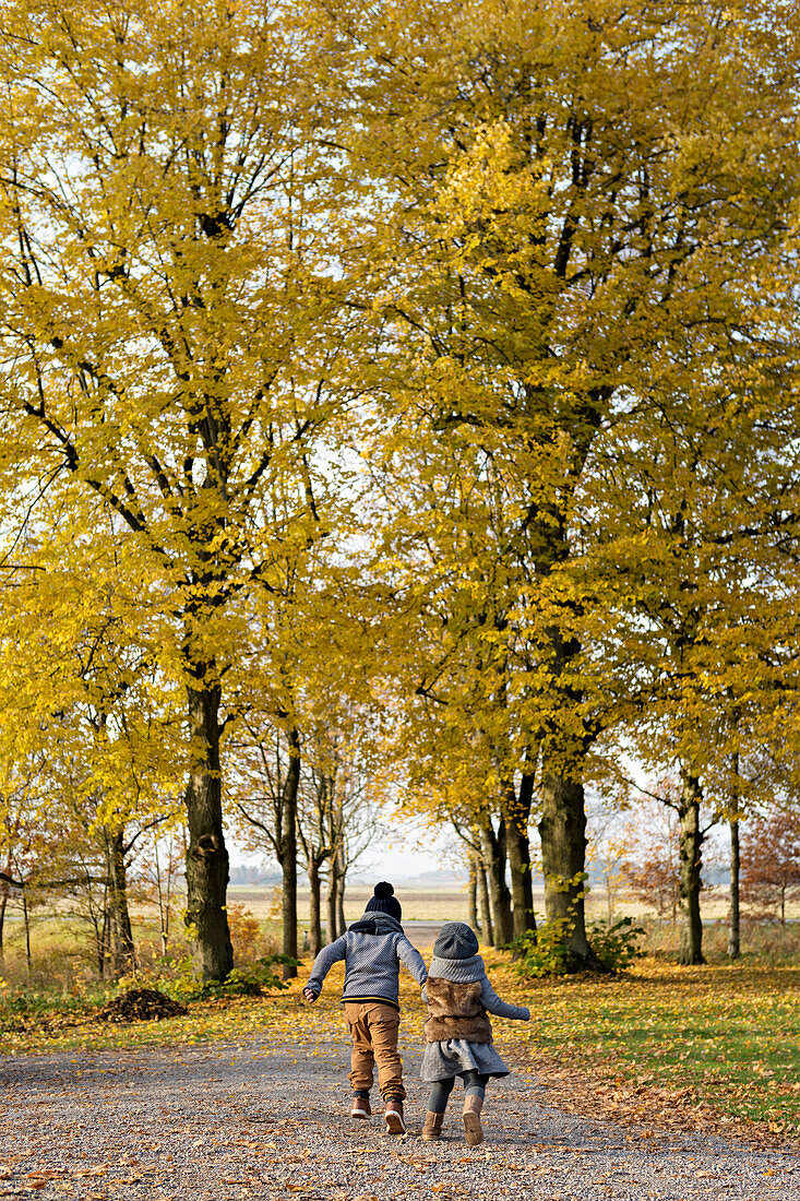 Two children walking hand-in-hand through autumnal woods