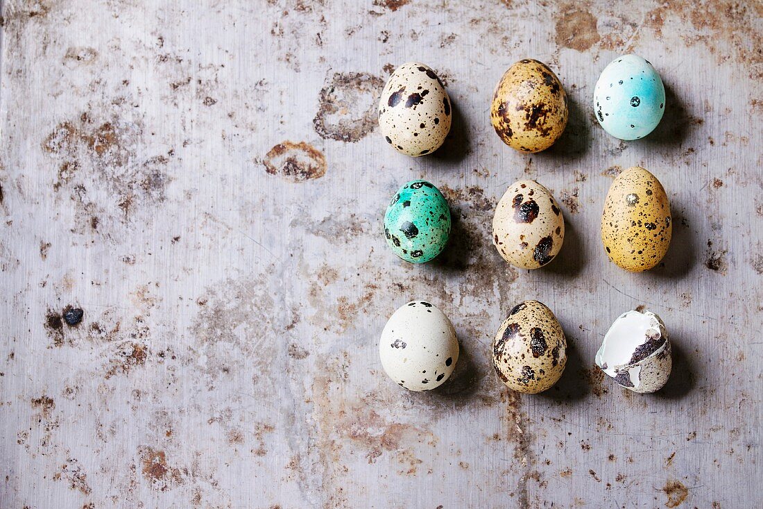 Decor whole and broken colorful Easter quail eggs standing in row rusty metaltexture background