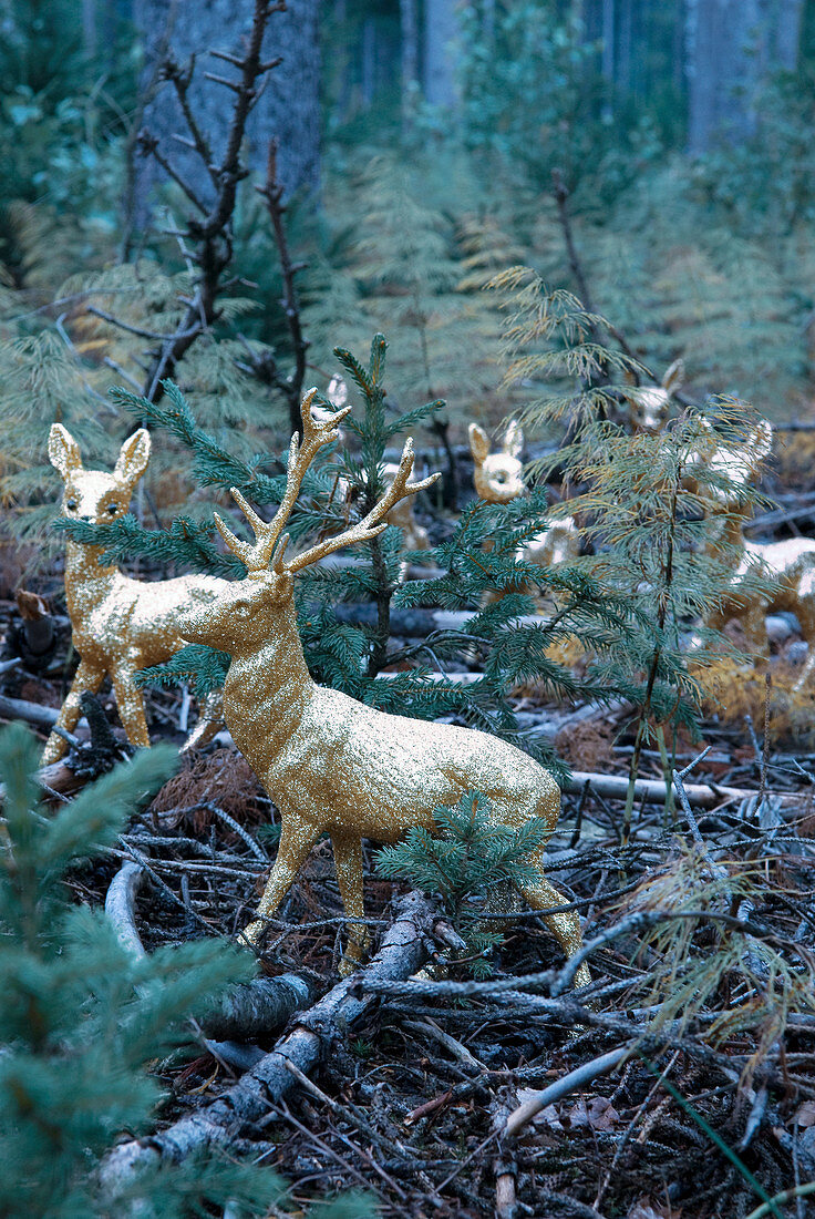 Golden stag and deer figurines on woodland floor amongst tree seedlings