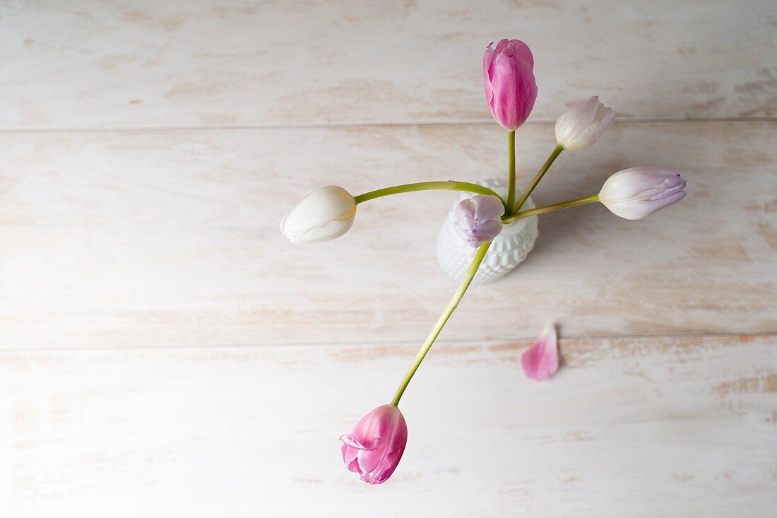 Tulpen in einer Vase