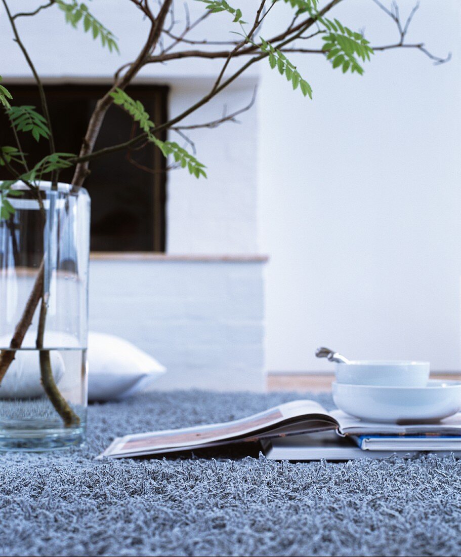 Glasvase mit Blätterzweig neben Büchern und Geschirr auf grauem Teppich