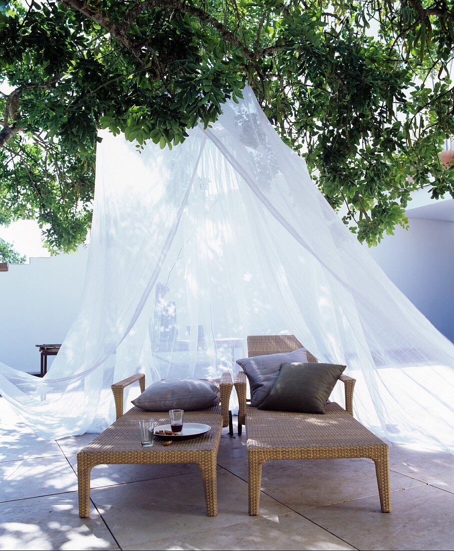Two loungers under canopy below tree on Mediterranean terrace