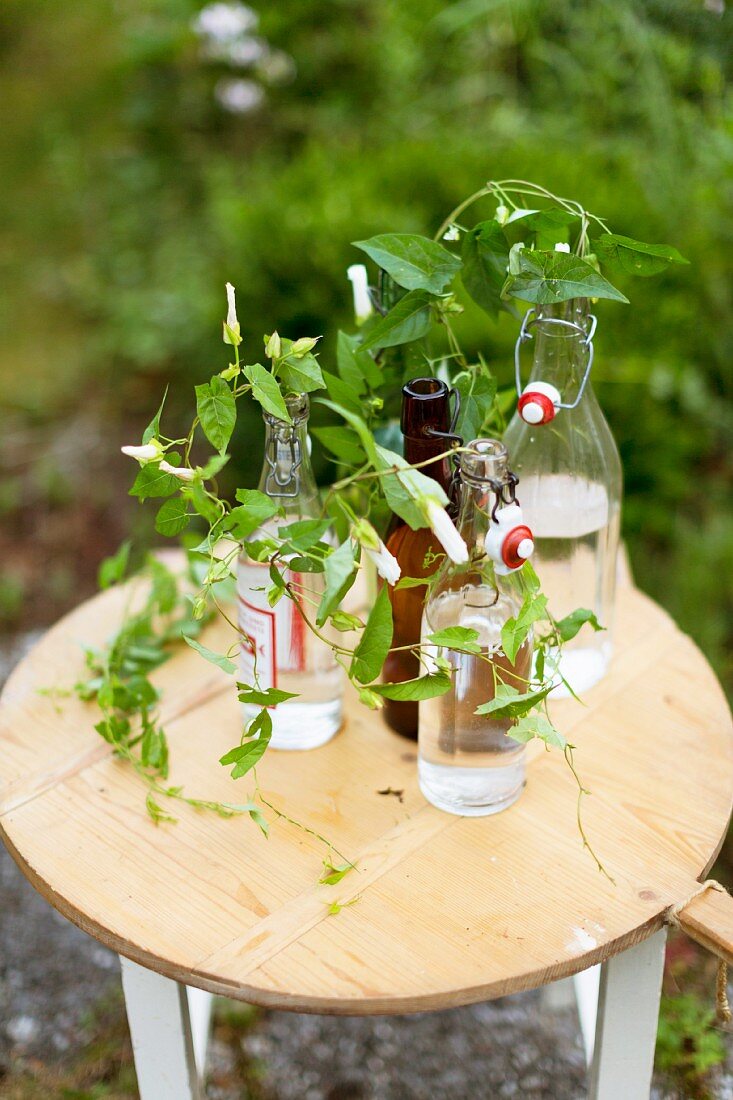 Arrangement of bindweed in swingtop bottles on small wooden table outdoors