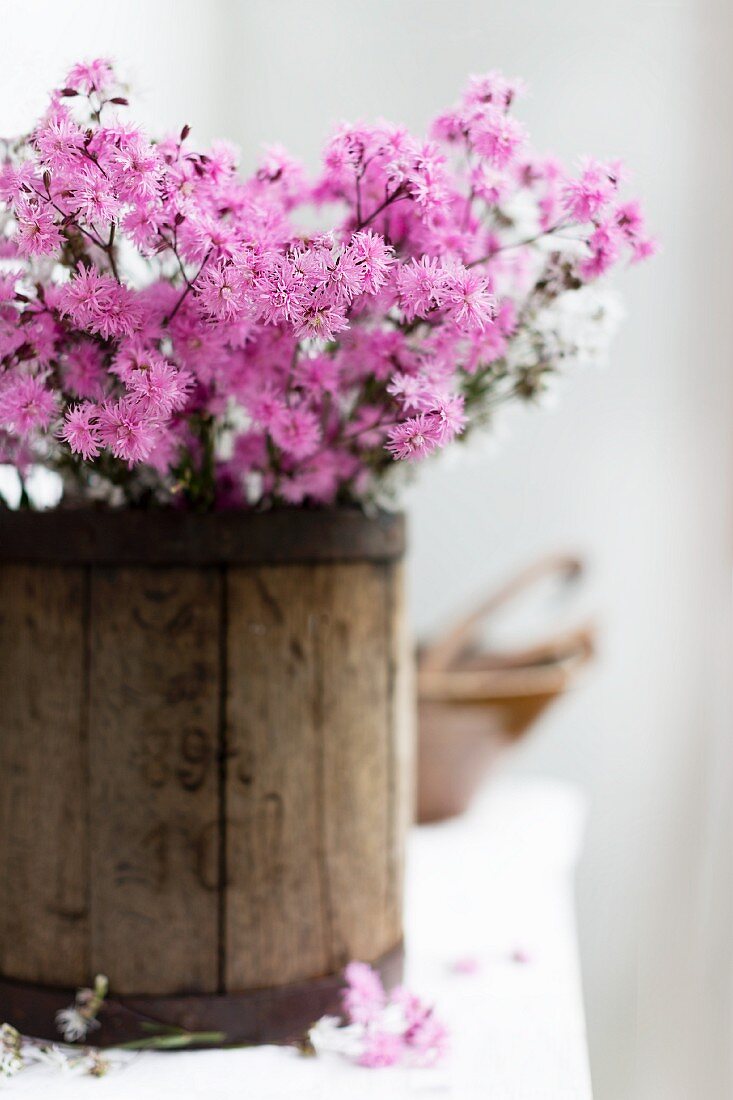 Pink flowers in wooden bucket