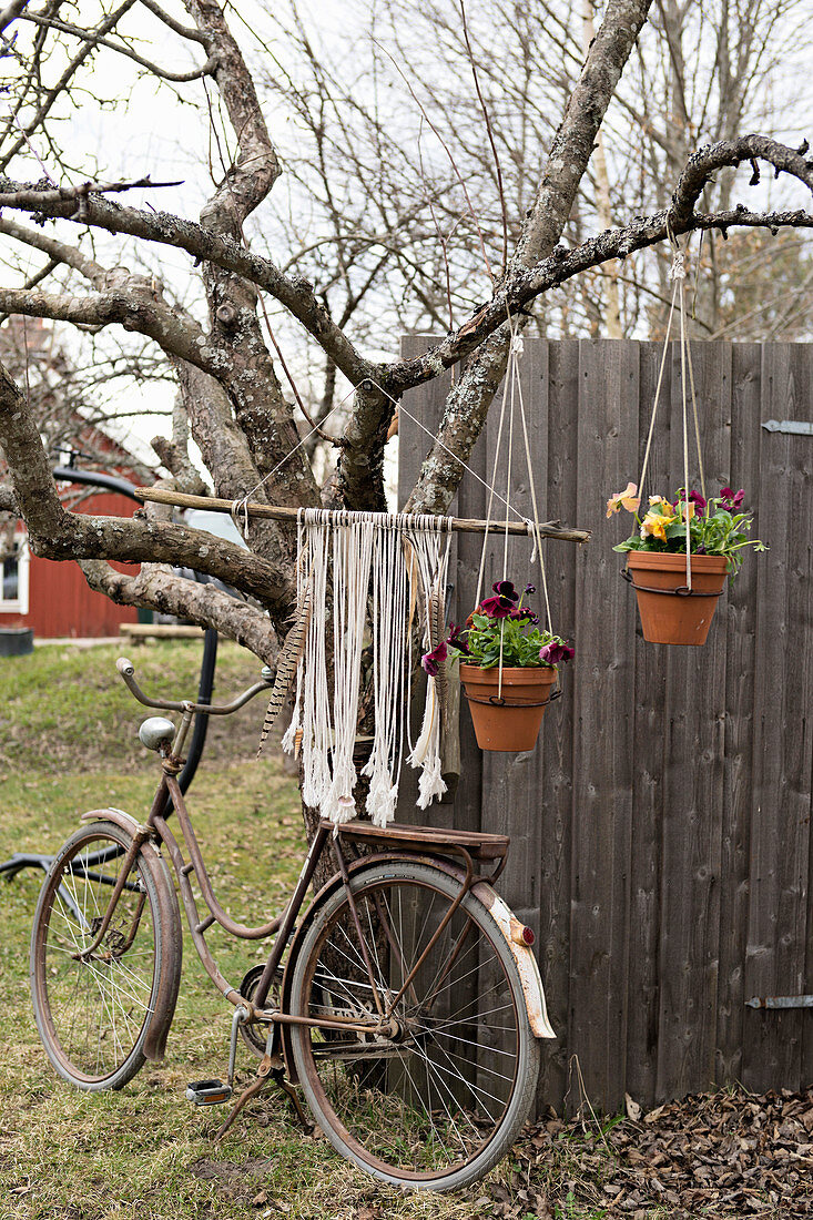 Am Baum hängende Blumentöpfe und Vintage Fahrrad im Garten
