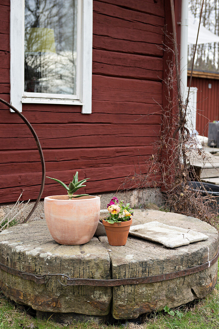 Pflanzentöpfe auf altem Mühlstein vor Schwedenhaus