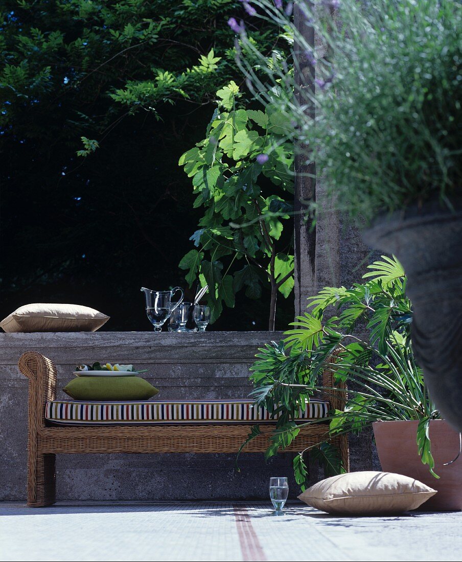 Wicker bench and plants on summery terrace