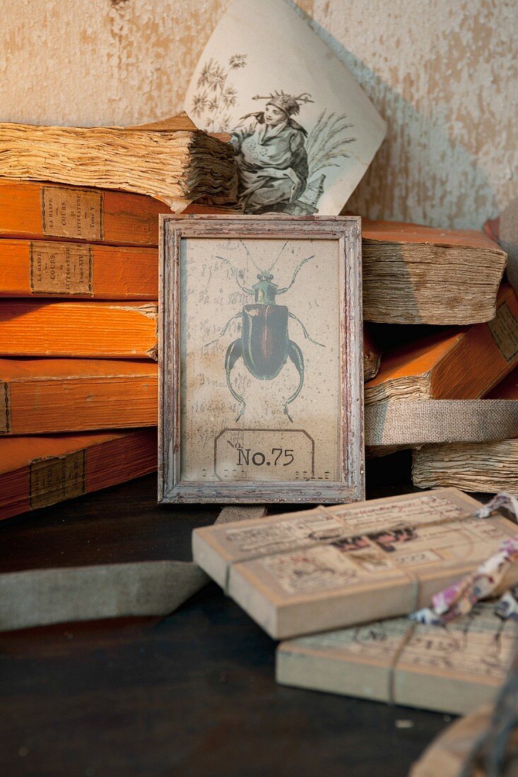 Stacked antique books and framed vintage drawing of beetle
