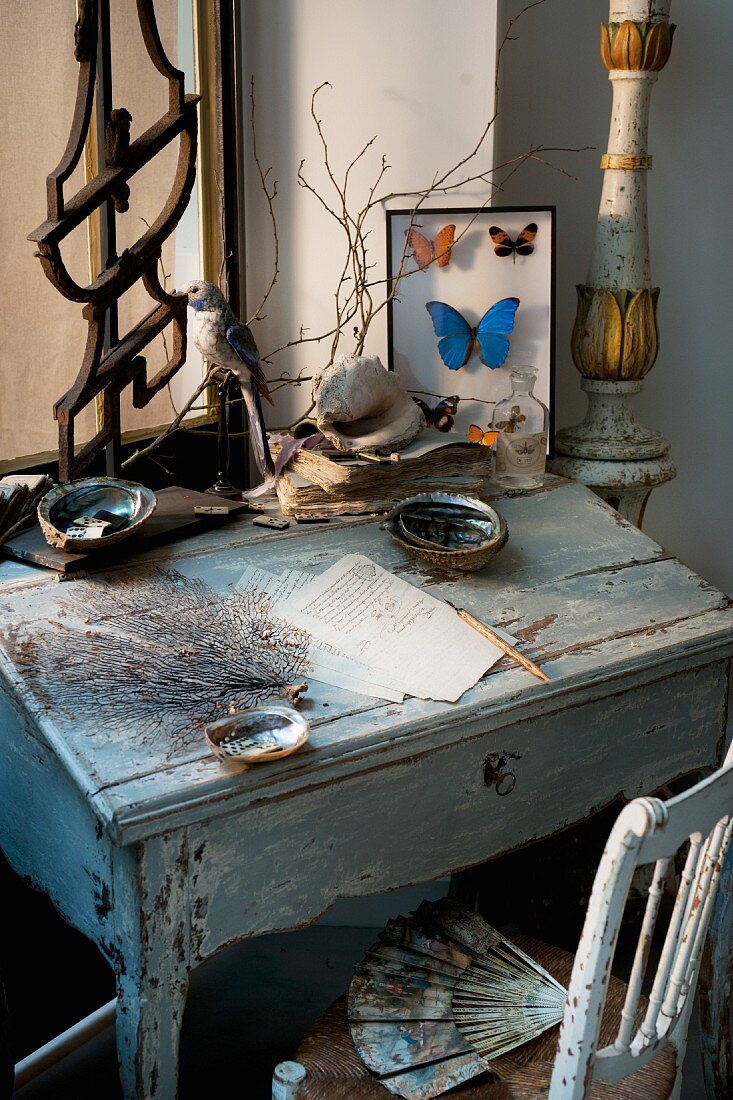 Nostalgisches Flair mit Schreibtisch, Briefpapier und Schmetterlings-Präparaten