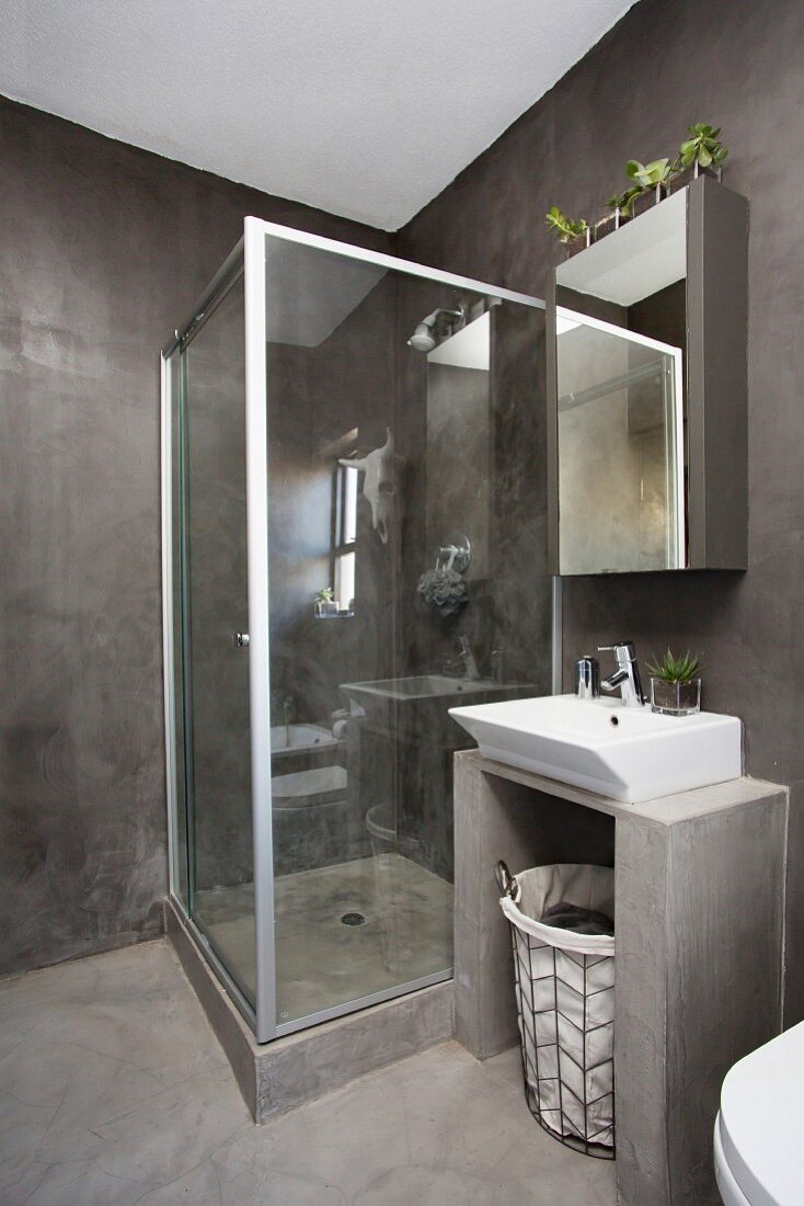 Glass shower cabinet and dark grey walls in bathroom