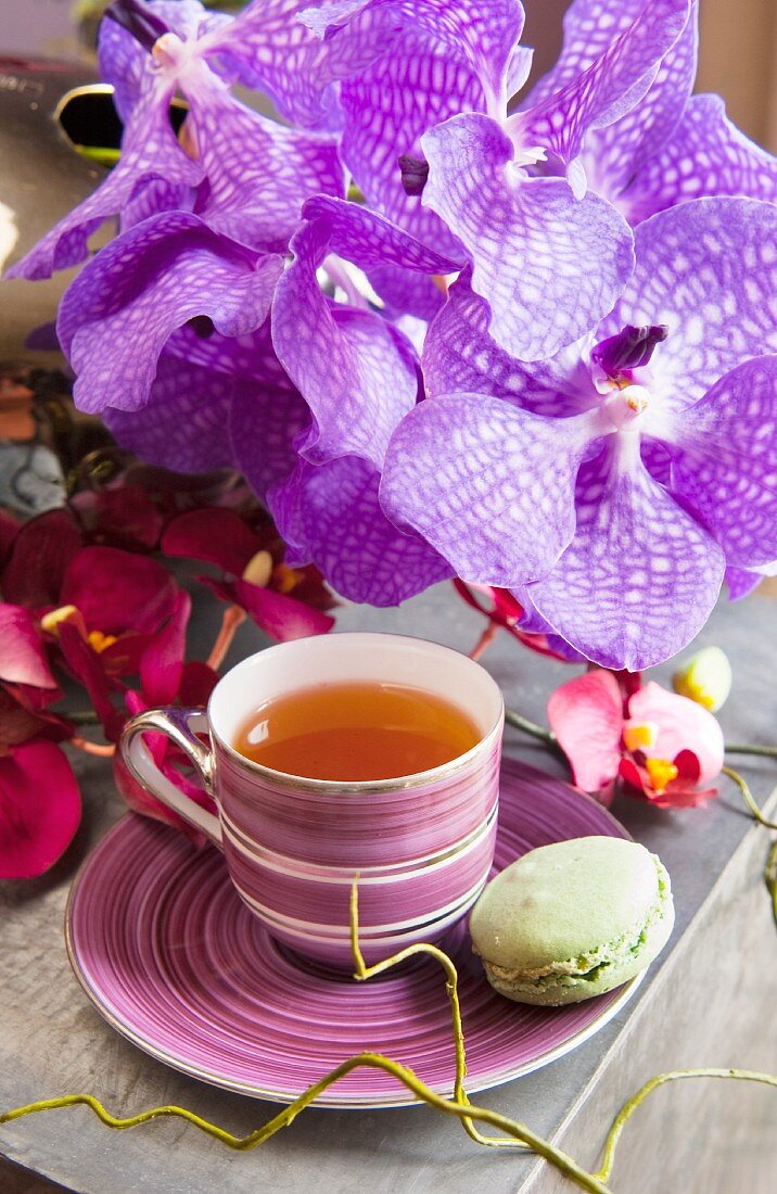 Tea in elegant teacup and saucer, green macaron and purple artificial flower
