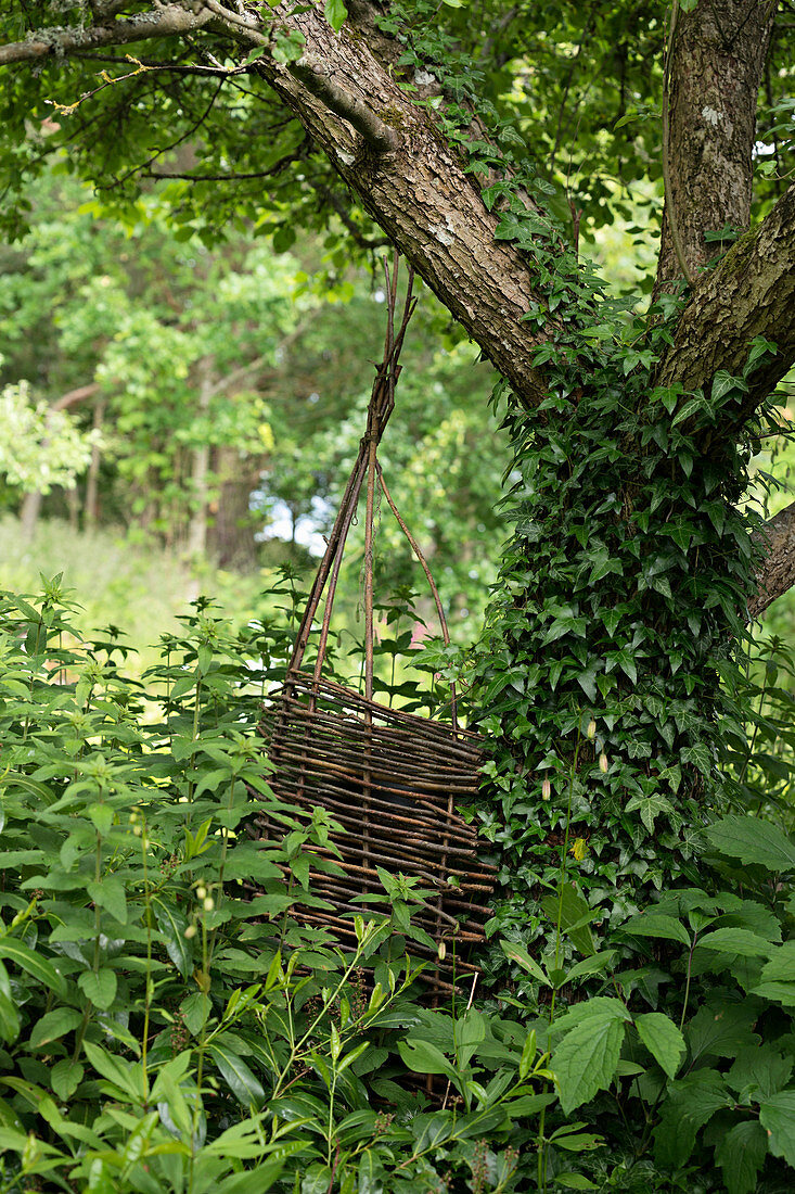 Wicker obelisk next to ivy-covered tree