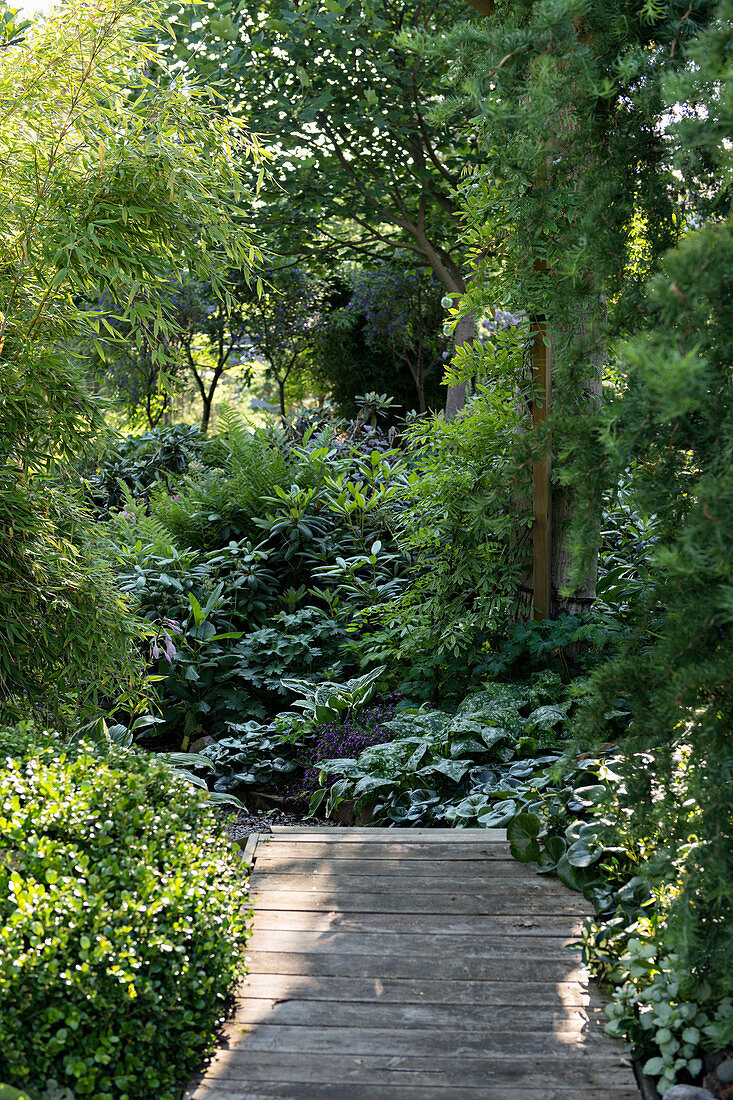 Kleine Holzbrücke im Garten