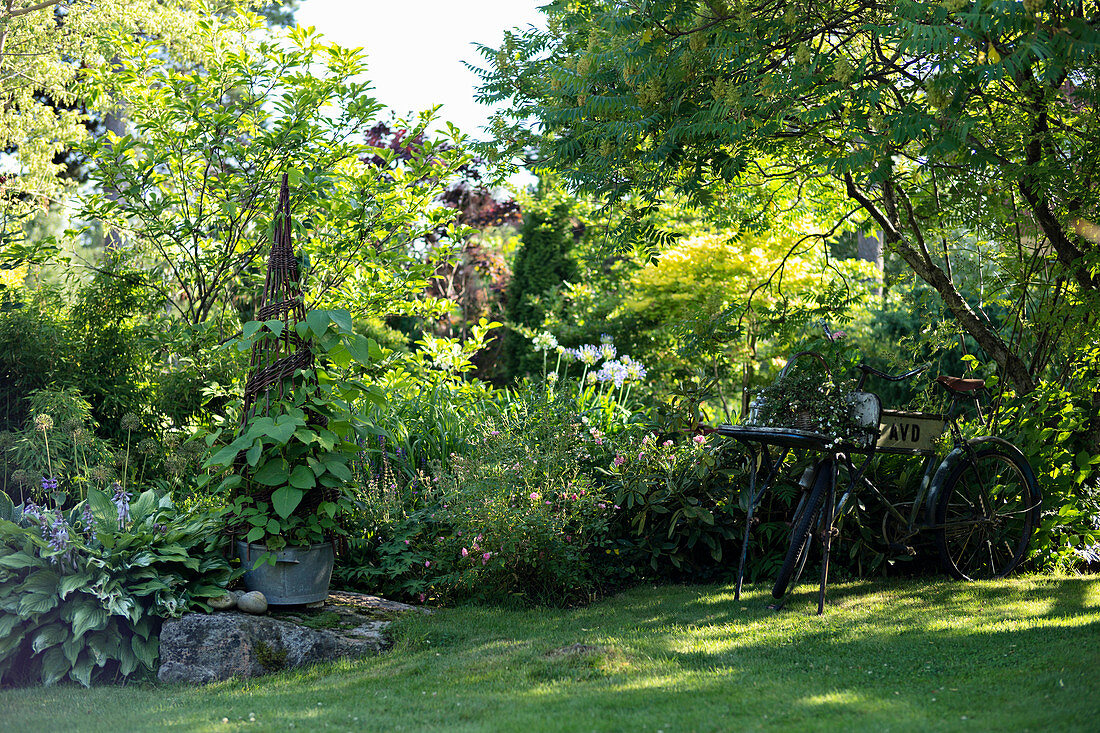 Rasenfläche vor Blumenrabatten und Fahrrad im Garten