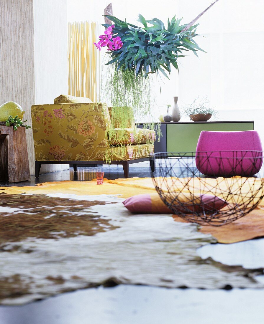 Cowhide rug on floor of colourful living room with staghorn fern hung from ceiling