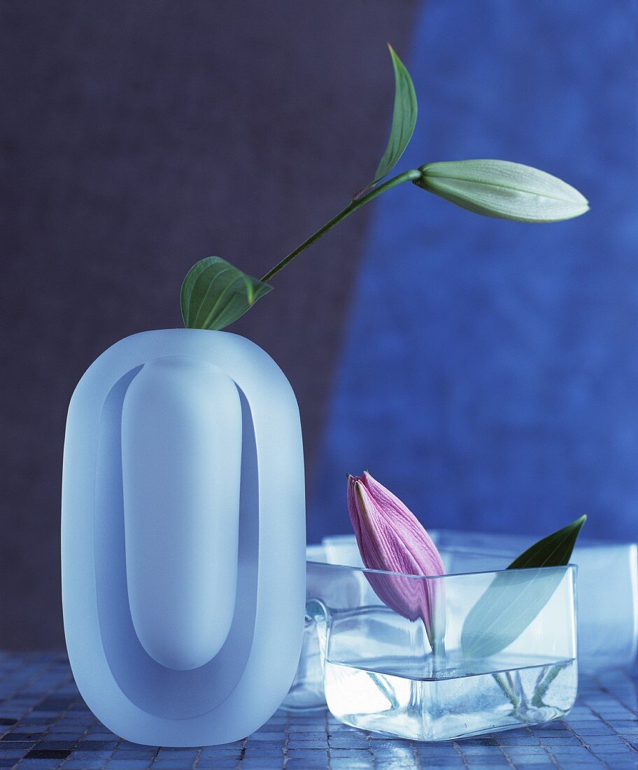 Lily buds in square and oval vases made from matt and clear glass