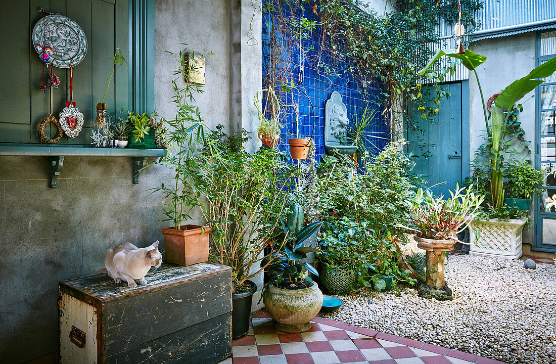 Courtyard with vintage accessories, potted plants and gravel floor