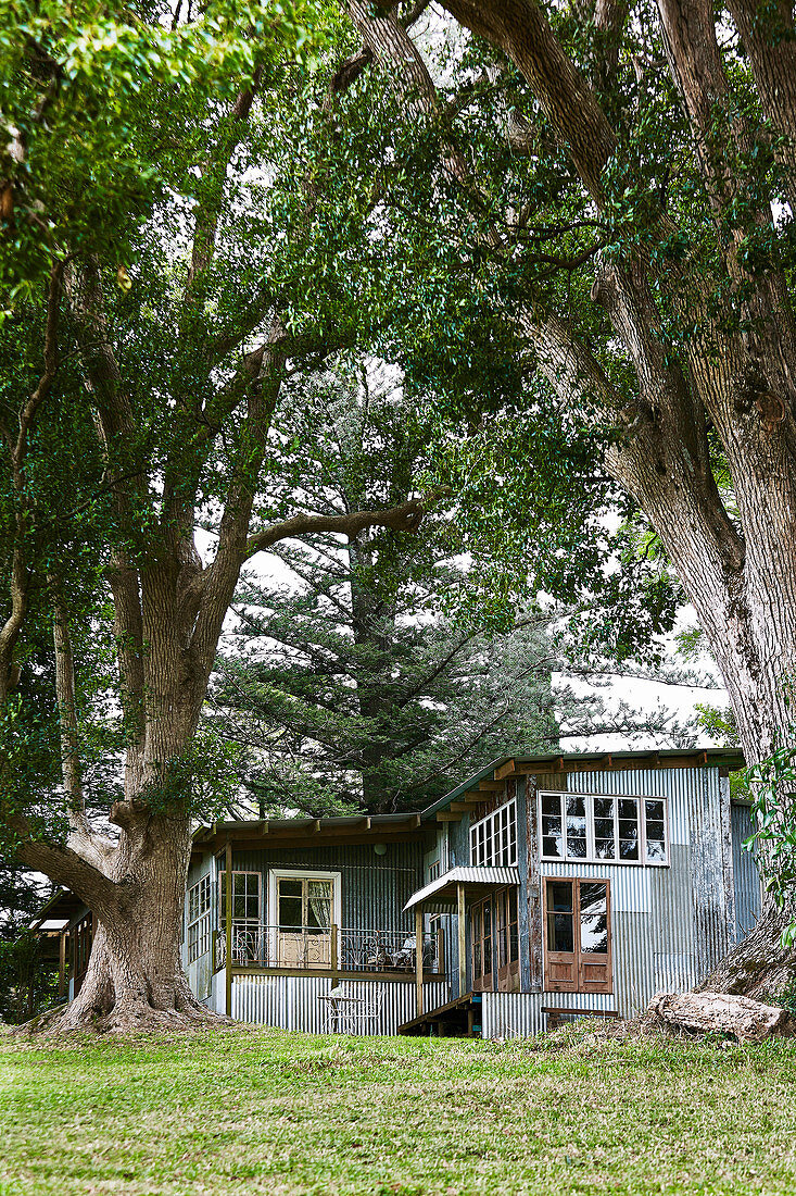 Former stable with corrugated iron facade in the garden with old trees