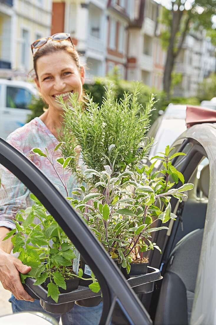 A woman holding a tray of Mediterranean plants next to a car