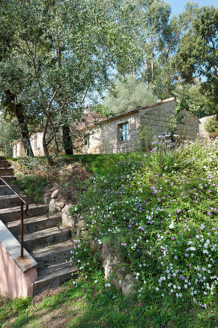 Steps in wild garden leading to Mediterranean stone house